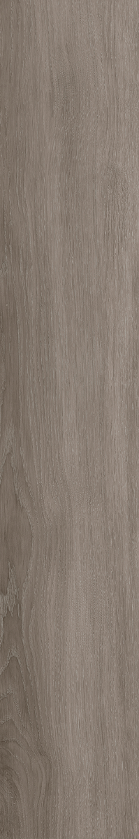 Dream Testament Cloud Grey XL Wood Effect 120x20cm Floor Tile TilesDecor