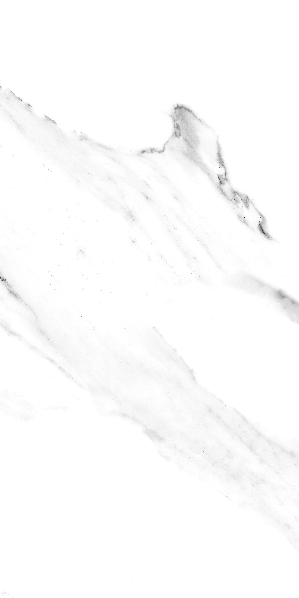 Statuario Marble Effect Gloss Tile 600x300mm WF Capella
