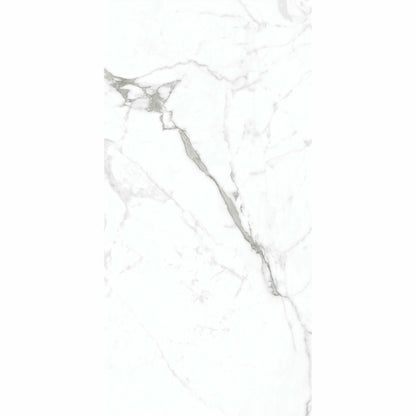 Allura XL 60x120cm White Matt Marble Effect Porcelain Wall and Floor Tiles TilesDecor