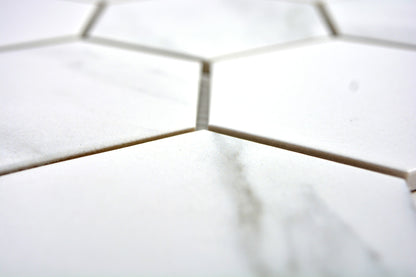 Carrara White Hexagon Mosaic Tile TilesDecor