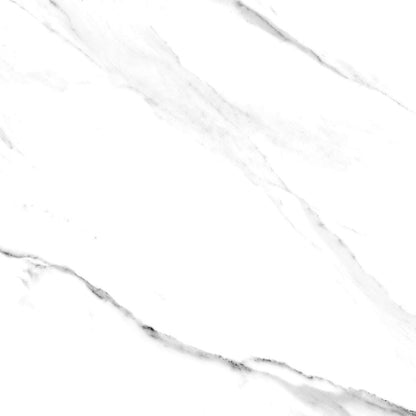 Copy of Statuario Marble Effect Matt Tile 600x600mm WF Capella