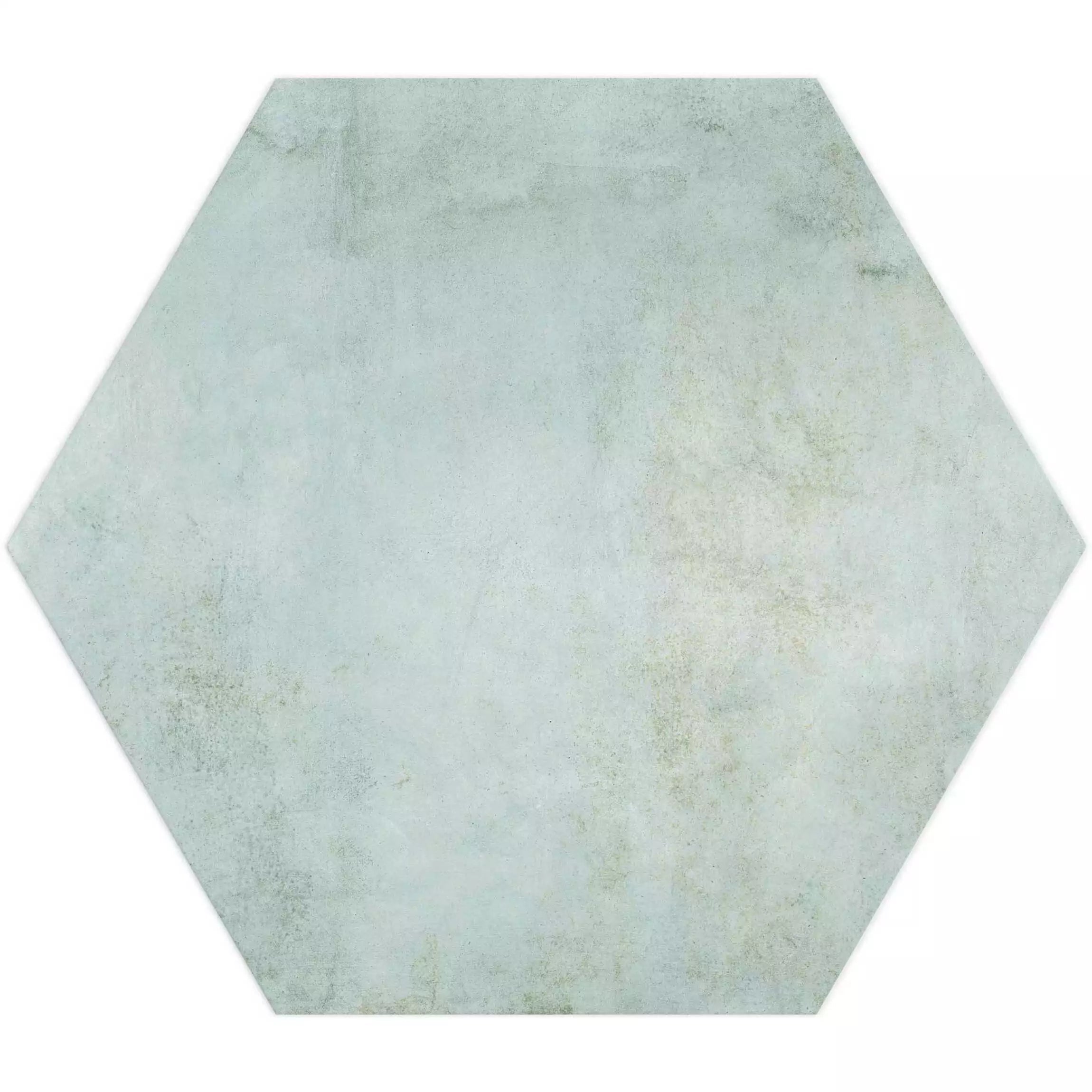 Tropical Ocean Washed Blue Hexagon 333x285mm Wall and Floor Porcelain Tile TilesDecor