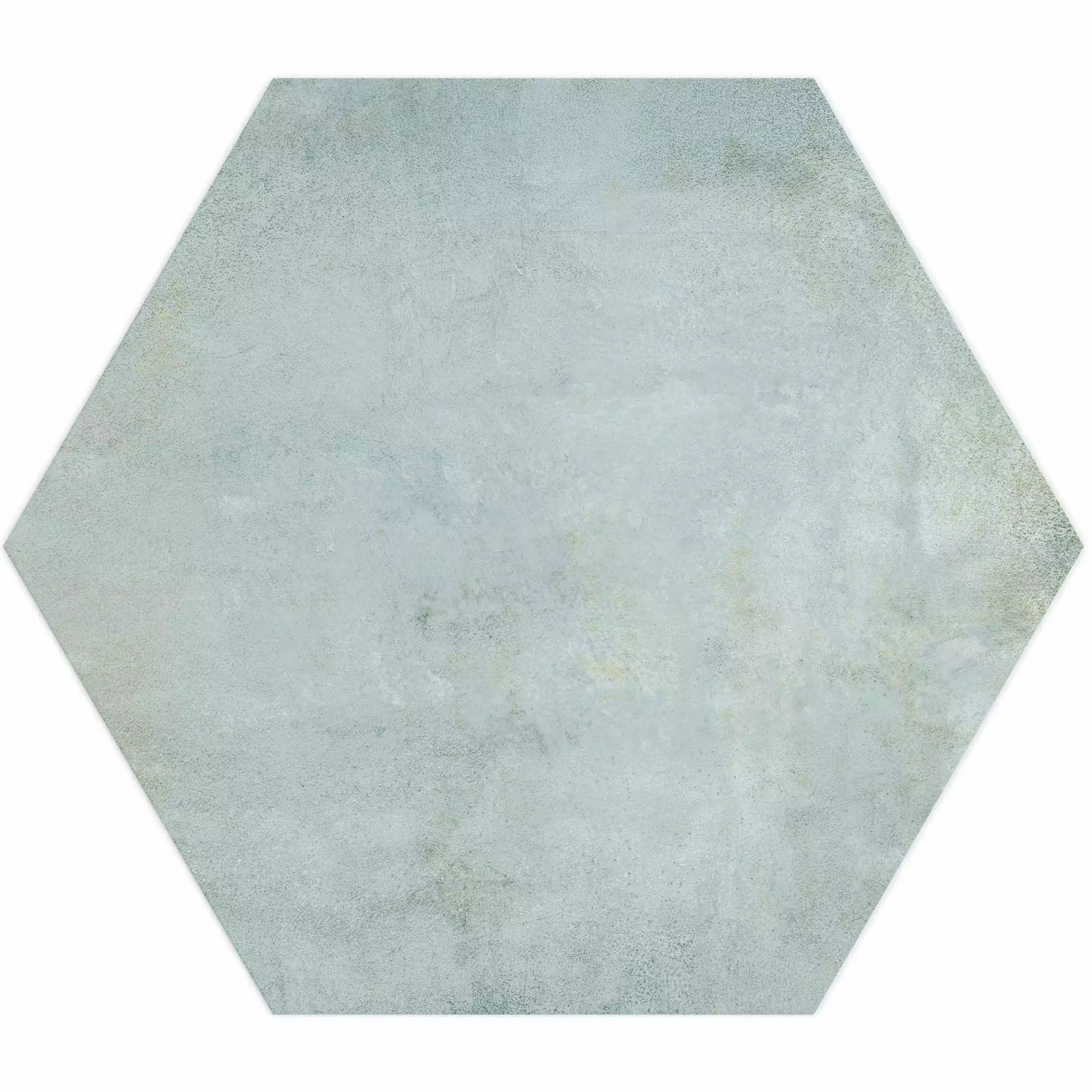 Tropical Ocean Washed Blue Hexagon 333x285mm Wall and Floor Porcelain Tile TilesDecor