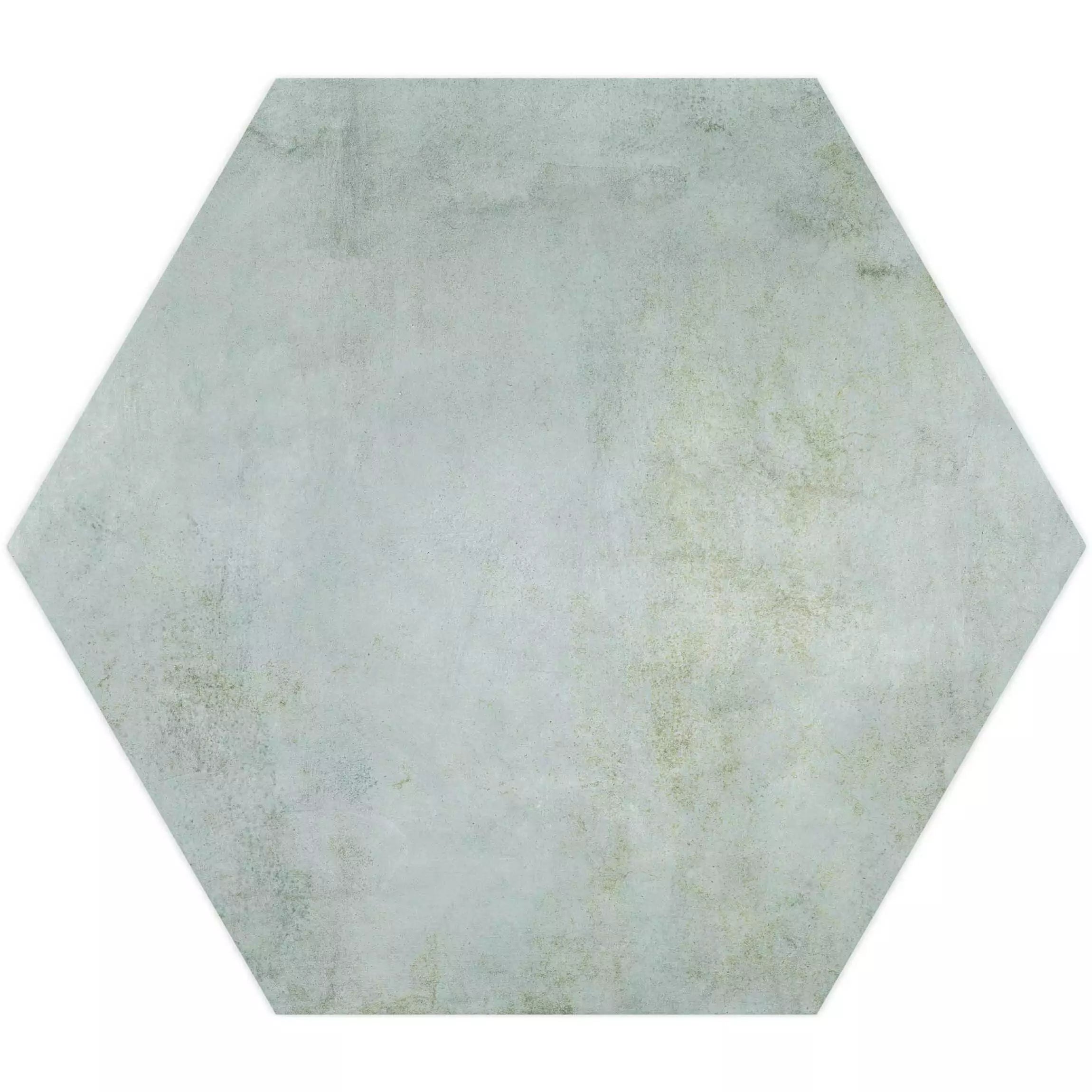 Tropical Ocean Washed Blue Hexagon 333x285mm Wall and Floor Porcelain Tile TilesDecor