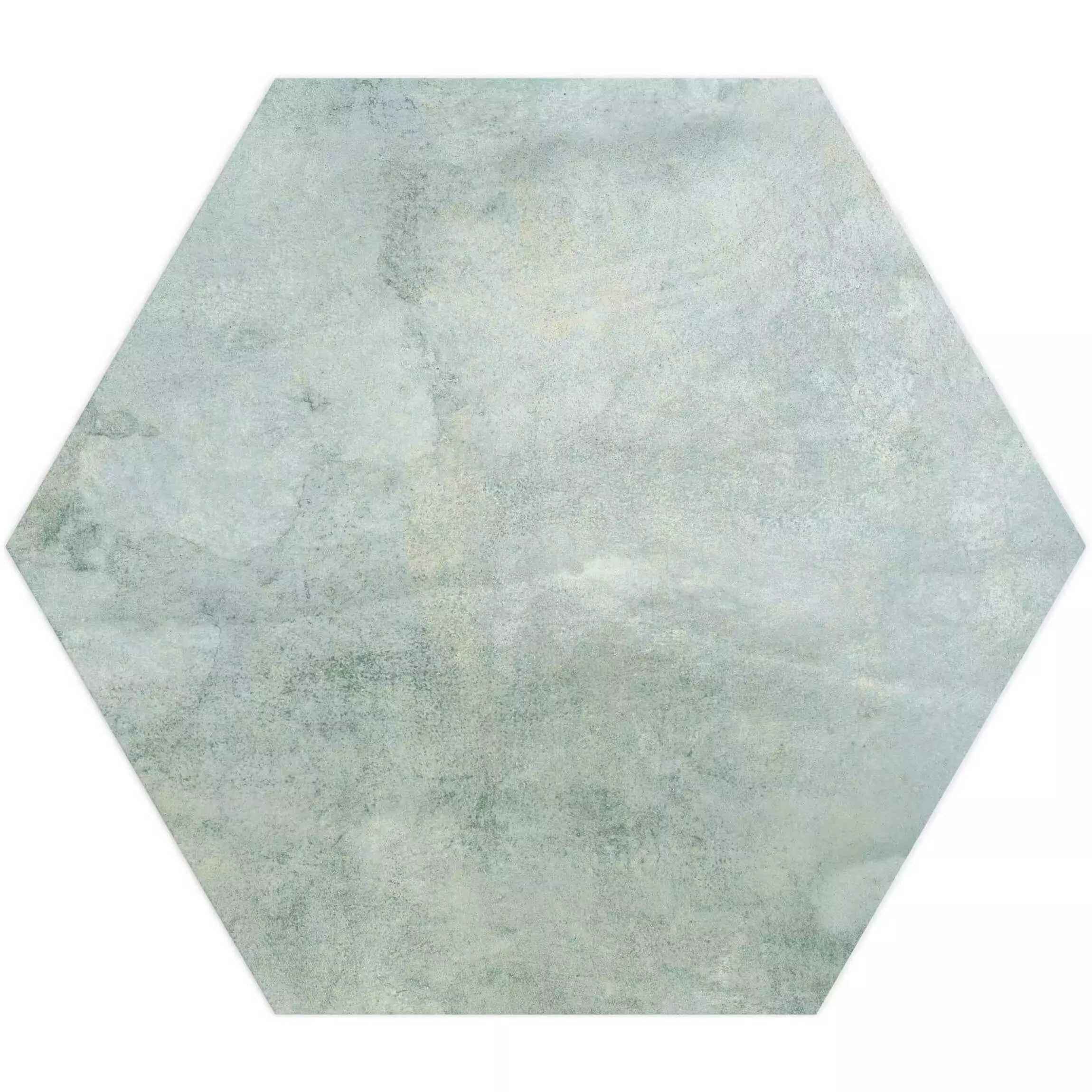 Tropical Ocean Washed Blue Hexagon 333x285mm Wall and Floor Porcelain Tile TilesDecor