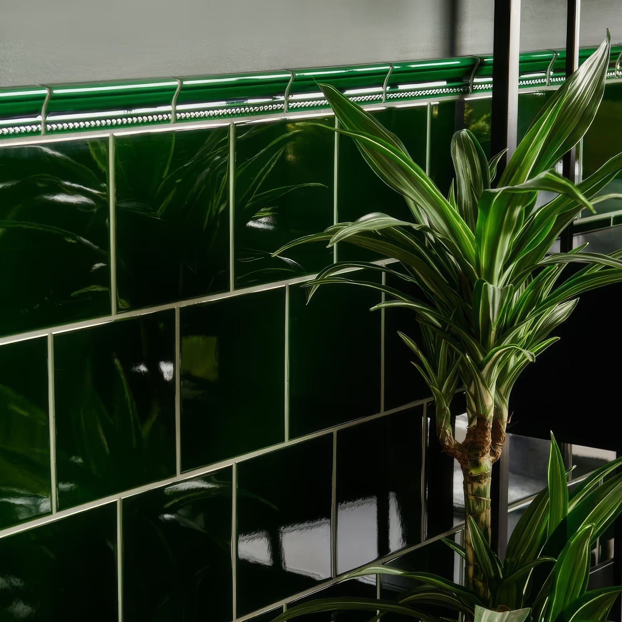 Glossy green Victorian wall tiles with a rope-edge border